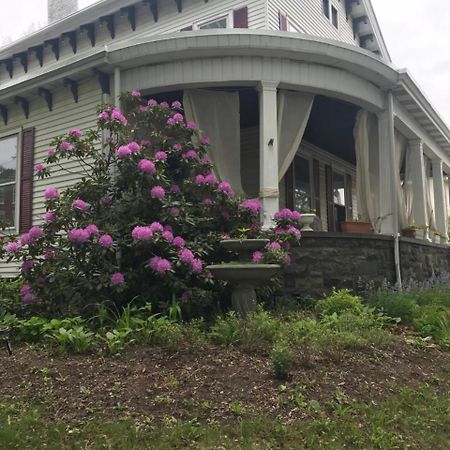 Bel'S Inn Bed And Breakfast Kingston Exterior photo