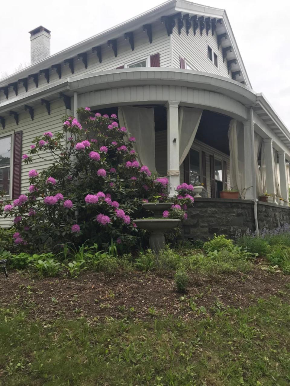 Bel'S Inn Bed And Breakfast Kingston Exterior photo